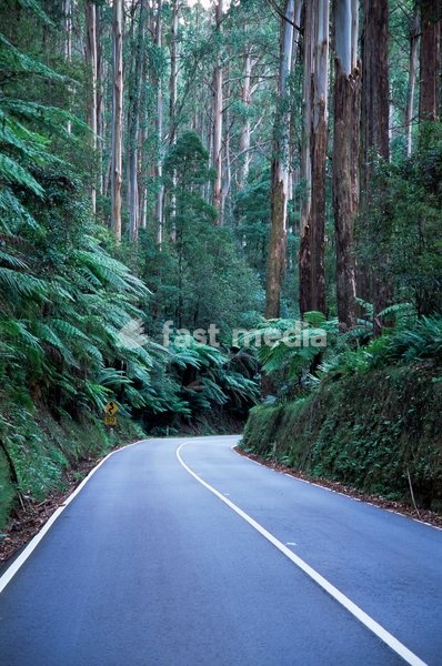Loading...